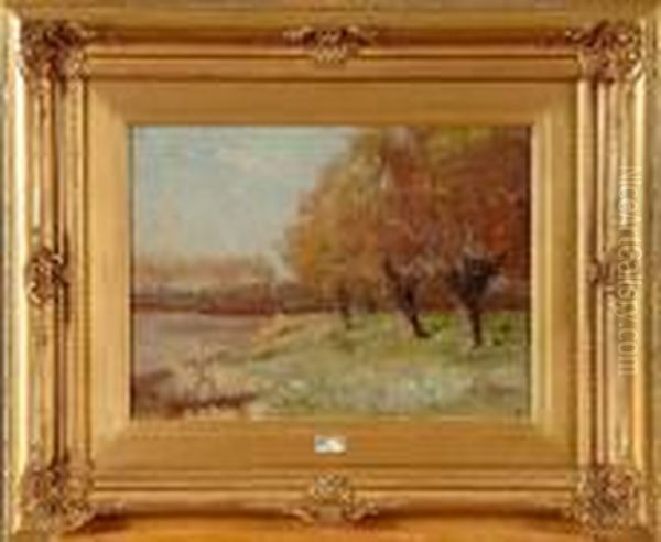 Bords De L'escaut - view 1