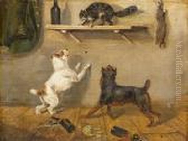 Zwei Hunde, Eine Auf Flaschenbord Gefluchtete Katze Verbellend - view 1