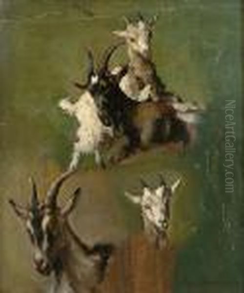 Studies Of Goats - view 1