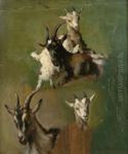 Studies Of Goats by Paul Friedrich Meyerheim