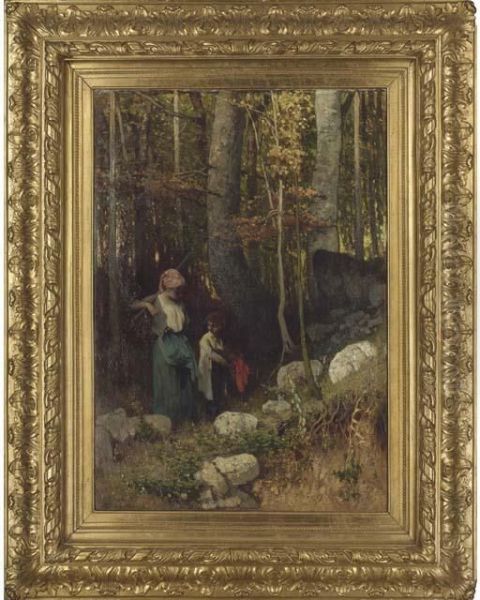 A Stroll Through The Forest - view 1