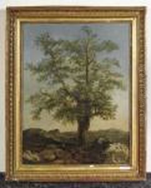 Baum In Landschaft. - view 1