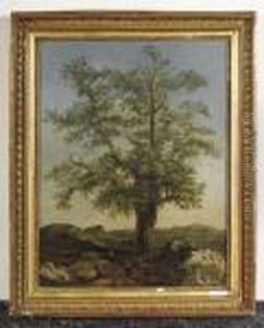 Baum In Landschaft. by Achille-Etna Michallon