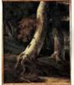 Tronc D'arbre Dans Un Sous-bois, D'apres Ruisdael