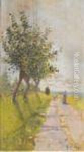 Strada Verso Salviano. Livorno by Guglielmo Micheli