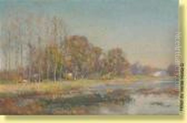 Rayons De Soleil Sur L'etang - view 1