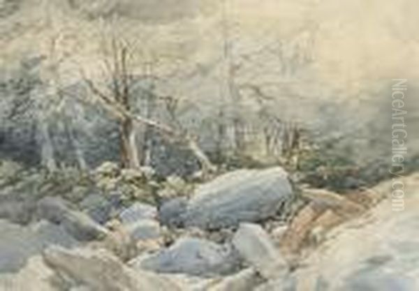 A Rocky Stream Running Through A Wood - view 1