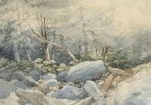 A Rocky Stream Running Through A Wood