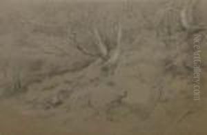 Tree And Rock Study