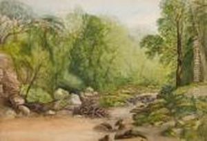 A Wooded Upland Stream