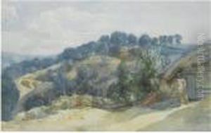 A View Of A Wooded Hillside From A Farm