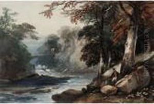 River Running Through Woodland