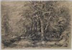 Gunton Park
