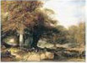 A Beech Forest In Autumn