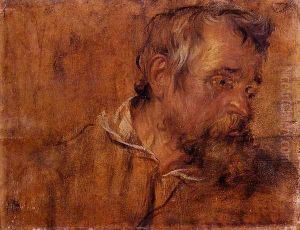 Profile Study Of A Bearded Old Man