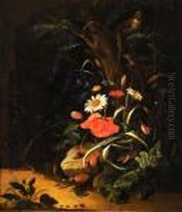 Nature Morte Avec Insectes by Abraham Mignon