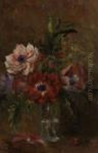 Vase D'anemones