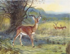 Impala And Giraffe