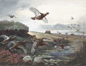 Red Grouse Over The Moors by John Guille Millais