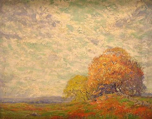 Trees On Knoll - view 1