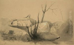 Virga Scenery: Lake And Mountain View 
And 
Rocks And Trees