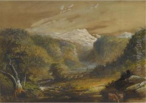 Black Hills