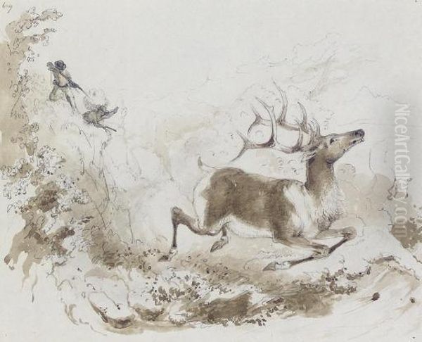 Death Of The Elk - view 1