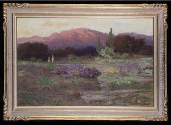 Edge Of The Desert From San Jacintorange - view 1