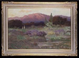 Edge Of The Desert From San Jacintorange