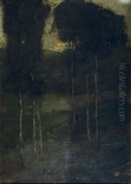 Forest Landscape - view 1