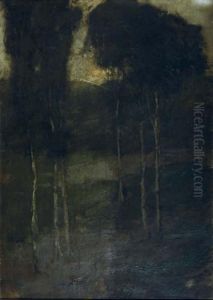 Forest Landscape