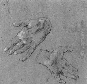 A.Studies of two hands by Sir Anthony Van Dyck