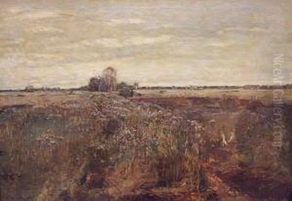 Landschaft - view 1