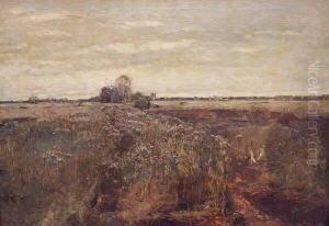 Landschaft Landschaft
