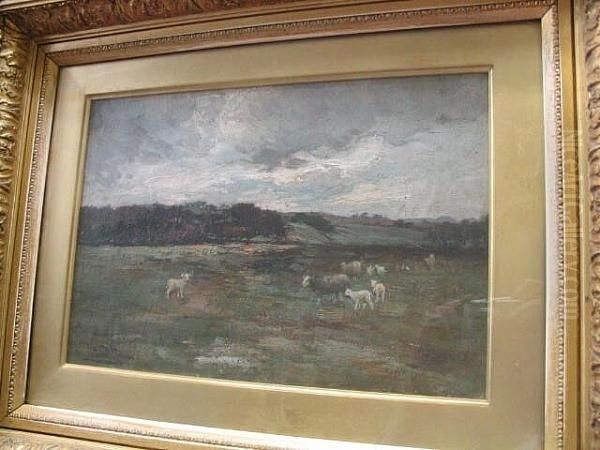 Sheep In Pasture - view 1