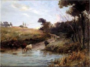Cattle Watering