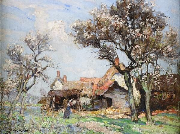 Apple Blossom - view 1