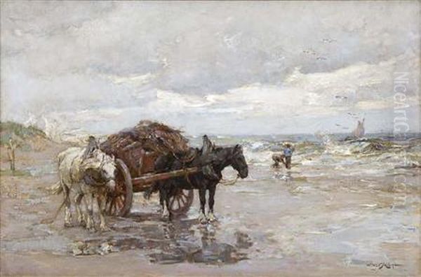 Gathering Wrack - view 1