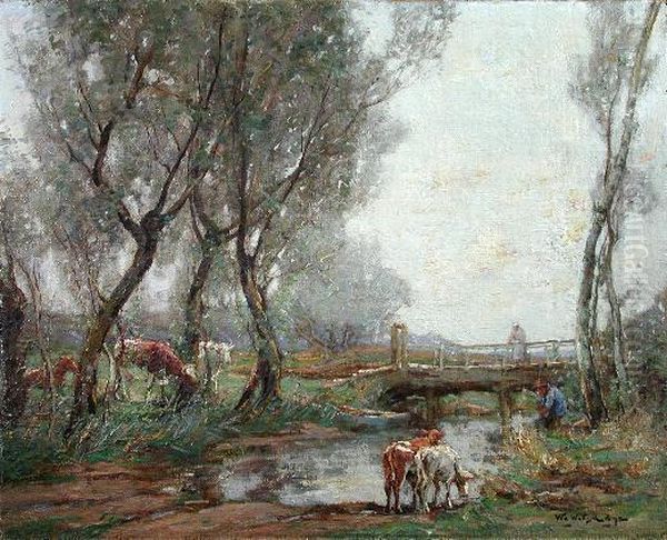 Cattle Watering At A Ford - view 1