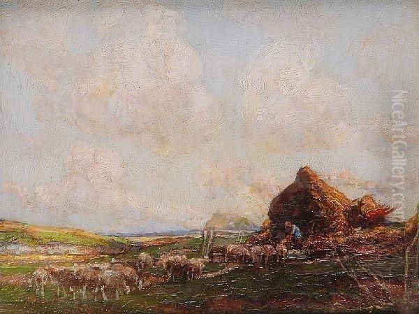 Feeding The Sheep - view 1