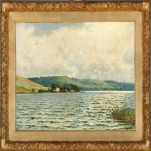 View From Lake Juel, Denmark