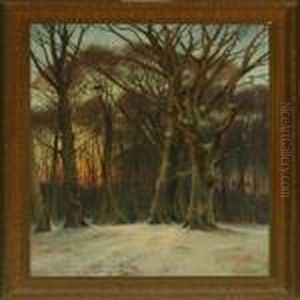 Winter Forest With A Walking Person