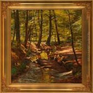 Stream Through A Forest Stream Through A Forest