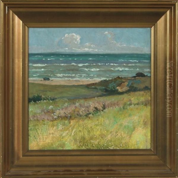Beach Scenery - view 1