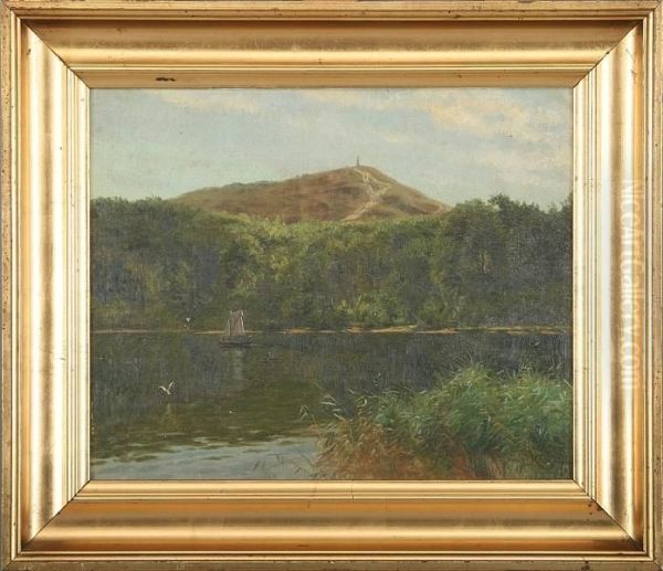 Scenery From Himmelbjerget - view 1
