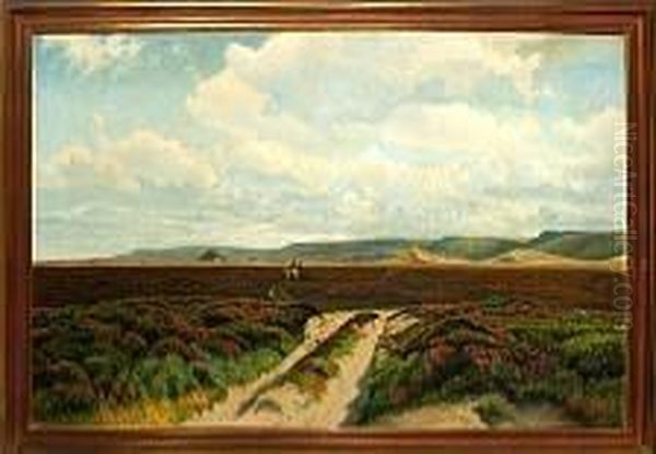 A Danish Moor Scenery From Jylland Province - view 1