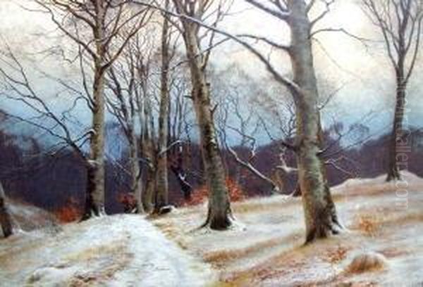 Waldweg Im Winter Mit Jagersmann - view 1