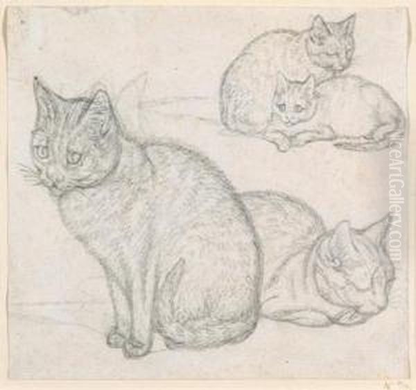 A Double Sketch Of Two Cats - view 1