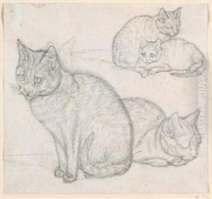 A Double Sketch Of Two Cats by Gottfried Mind or Mindt