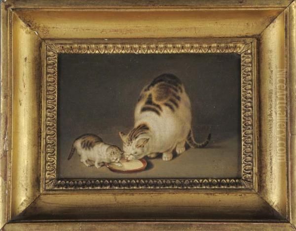 Chatte Et Chaton - view 1